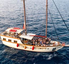 Motor Sailer 